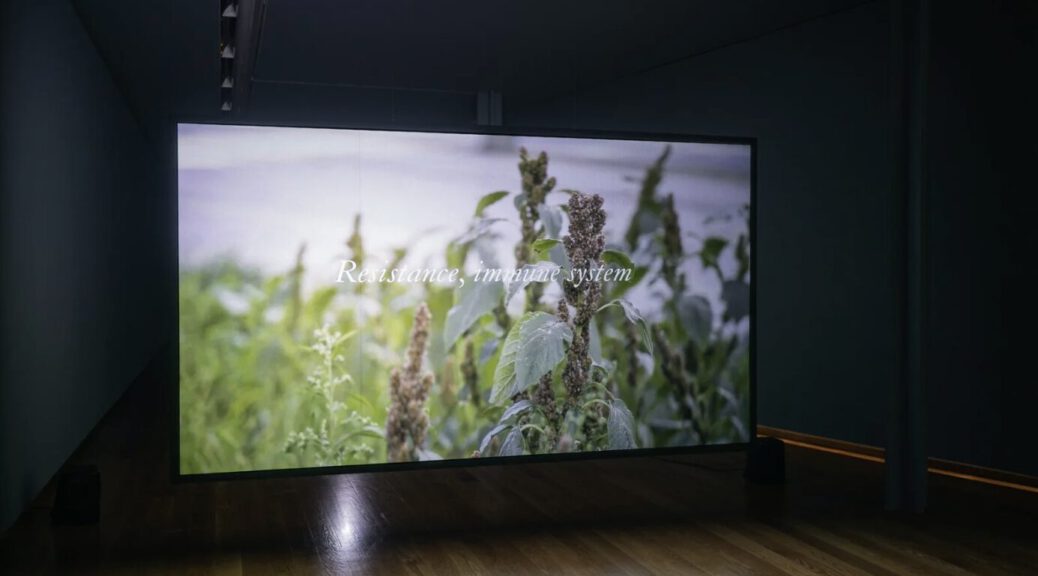 Milena Bonilla, I Am Life and Life is Beautiful, 2020 - 2022, photograph by Dinis Santos, courtesy Galeria Municipal do Porto, 2022