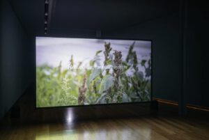 Milena Bonilla, I Am Life and Life is Beautiful, 2020 - 2022, photograph by Dinis Santos, courtesy Galeria Municipal do Porto, 2022